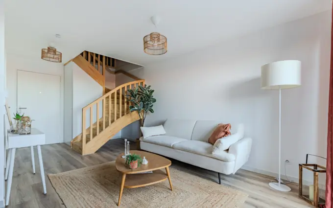 Euphorbia à Mérignac