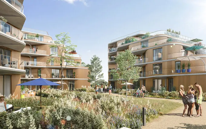 Hélianthe à Dunkerque