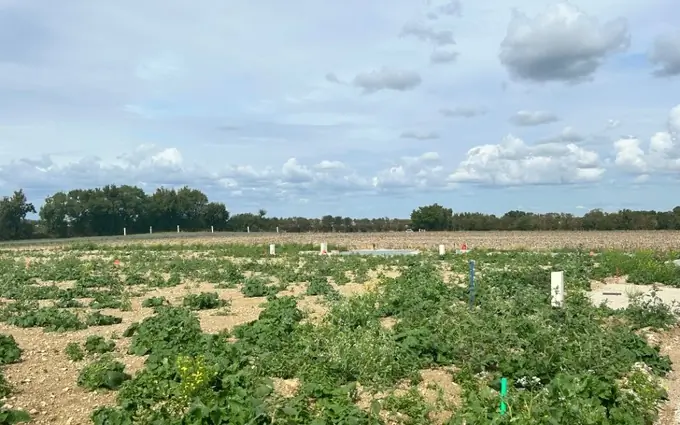 Terrain à partir de 356m² à saint-jean-de-liversay à Saint-Jean-de-Liversay (17170)