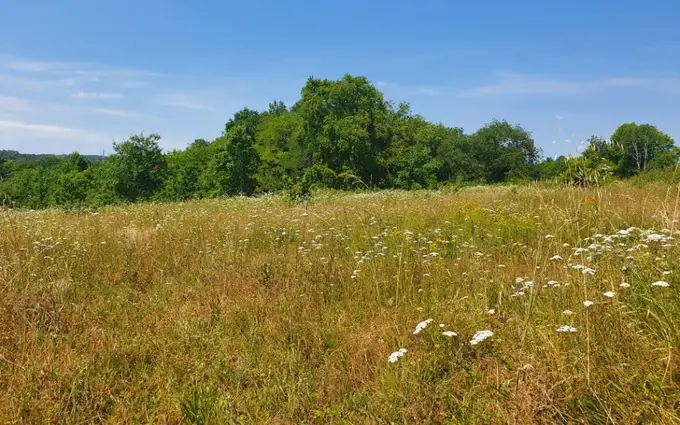 Terrain à partir de 500m² à asques à Asques