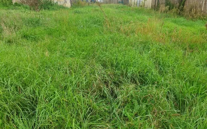 Terrain à partir de 950m² à saint-ciers-d'abzac à Saint-Ciers-d'Abzac (33910)