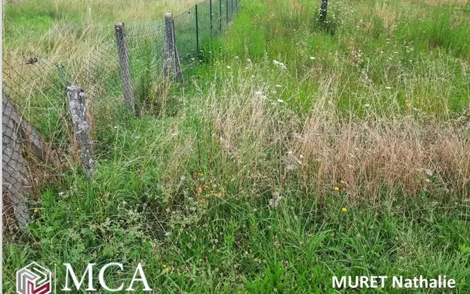 Terrain à partir de 465m² à la brède à La Brède (33650)