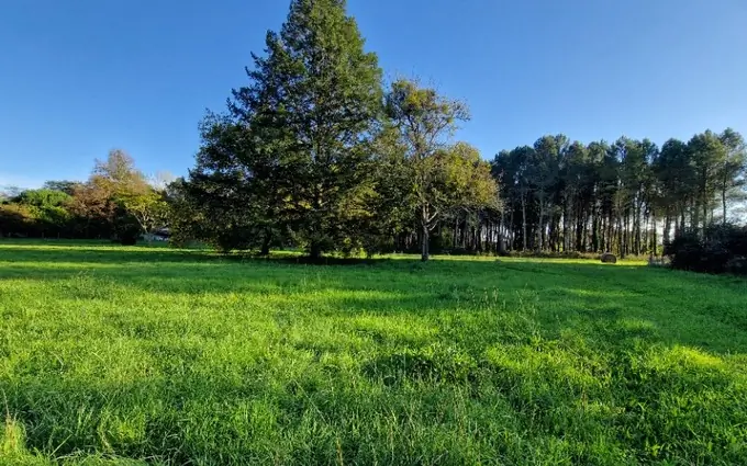 Terrain à partir de 1602m² à uzeste à Uzeste (33730)