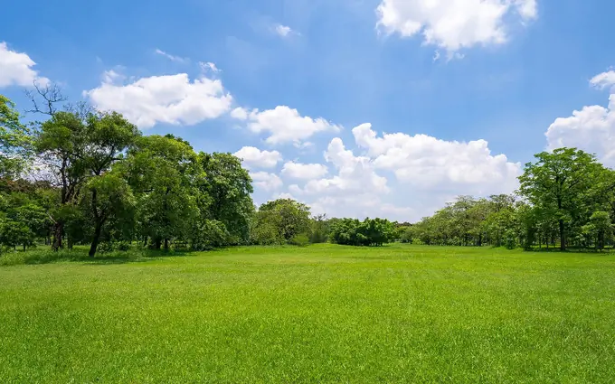 Terrain à partir de 557m² à gujan-mestras à Gujan-Mestras (33470)