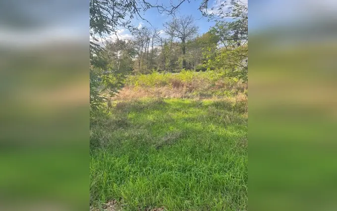 Terrain à partir de 800m² à vertheuil à Vertheuil