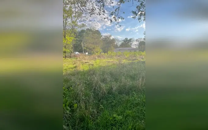 Terrain à partir de 620m² à margaux à Margaux (33460)