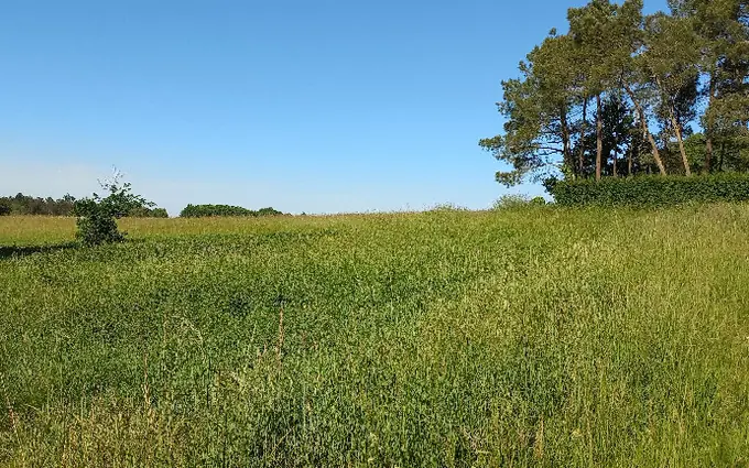 Terrain à partir de 5878m² à échourgnac à Échourgnac (24410)