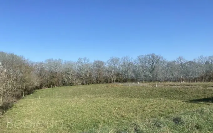 Terrain à partir de 580m² à latresne à Latresne (33360)