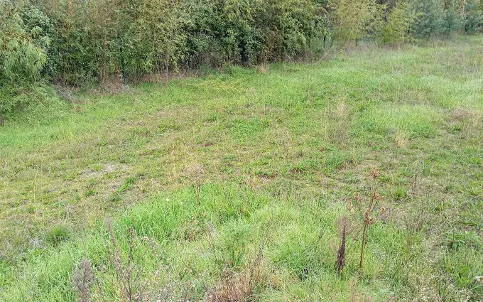 Terrain à partir de 425m² à le teich à Le Teich (33470)