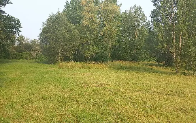 Terrain à partir de 1000m² à ménesplet à Ménesplet (24700)