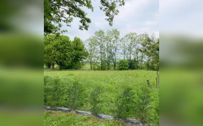 Terrain à partir de 1300m² à birac-sur-trec à Birac-sur-Trec