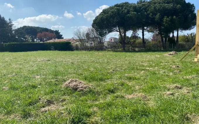 Terrain à partir de 503m² à saint-augustin à Saint-Augustin (17570)