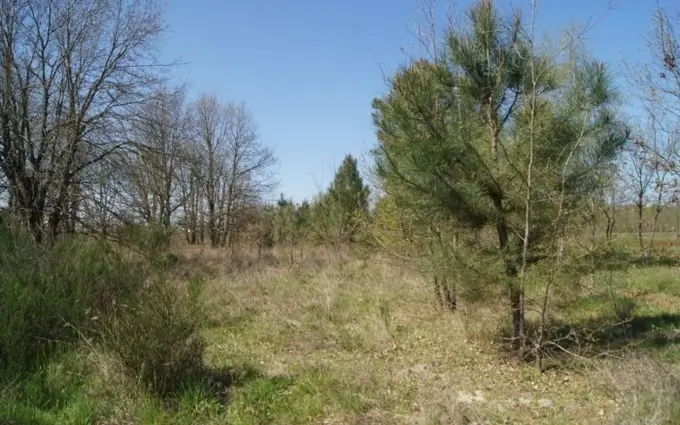 Terrain à partir de 310m² à le barp à Le Barp (33114)