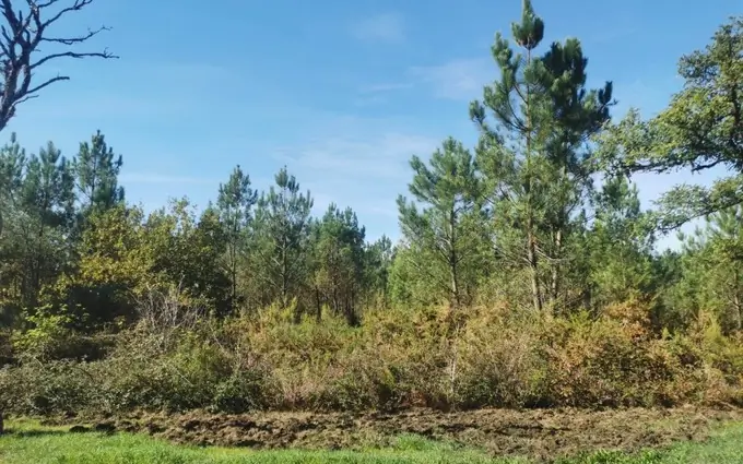 Terrain à partir de 400m² à hourtin à Hourtin (33990)