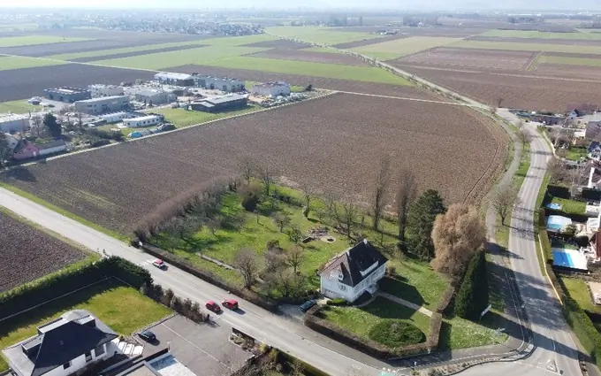 Route d'Andolsheim à Bischwihr