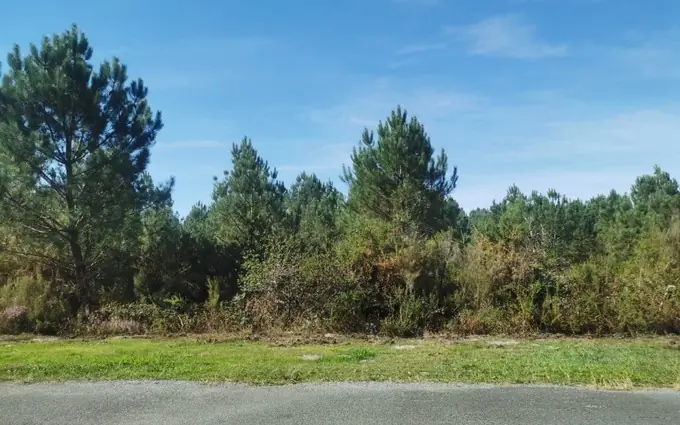 Terrain à partir de 928m² à salaunes à Salaunes (33160)