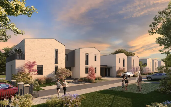 Le clos semillon à Pessac