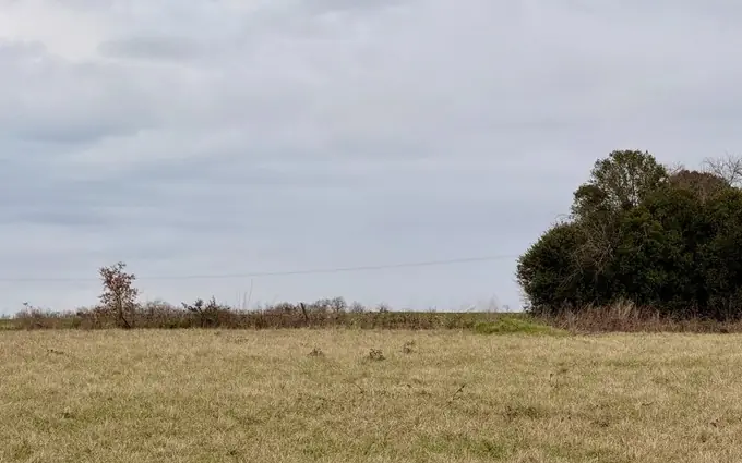 Terrain à partir de 2300m² à saint-aubin-de-lanquais à Saint-Aubin-de-Lanquais