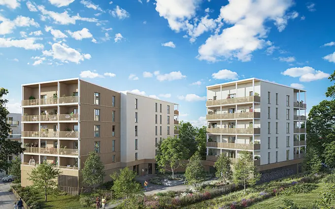 Bois lizé à Angers