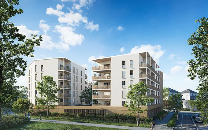 Bois lizé à Angers