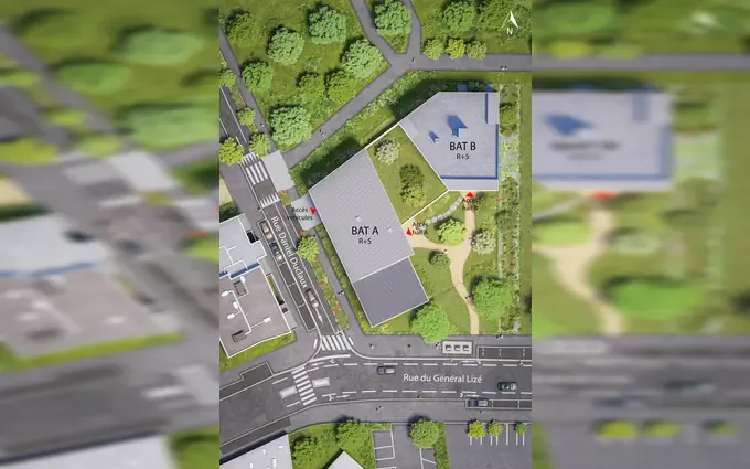 Bois lizé à Angers