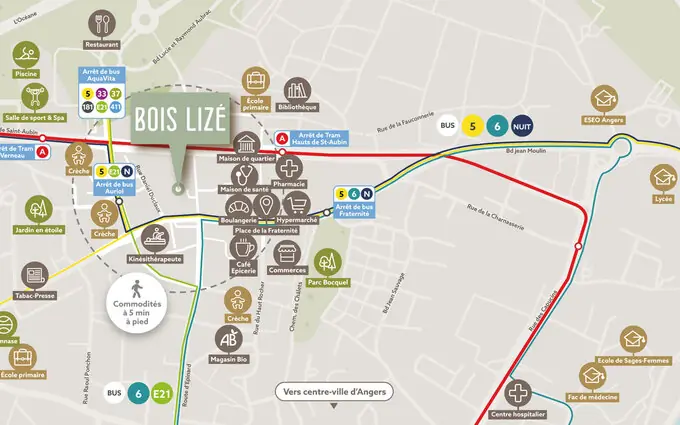 Bois lizé à Angers