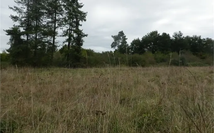 Terrain à partir de 400m² à castres-gironde à Castres-Gironde (33640)