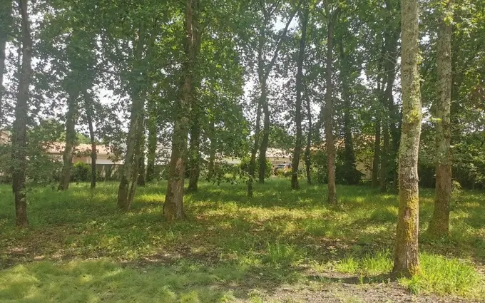 Terrain à partir de 402m² à lanton à Lanton (33138)