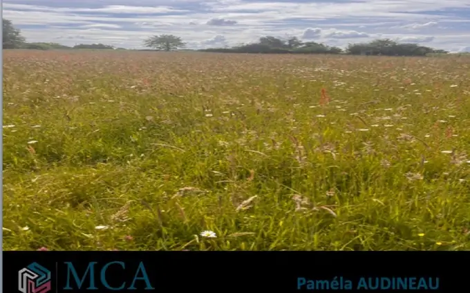 Terrain à partir de 440m² à vayres à Vayres