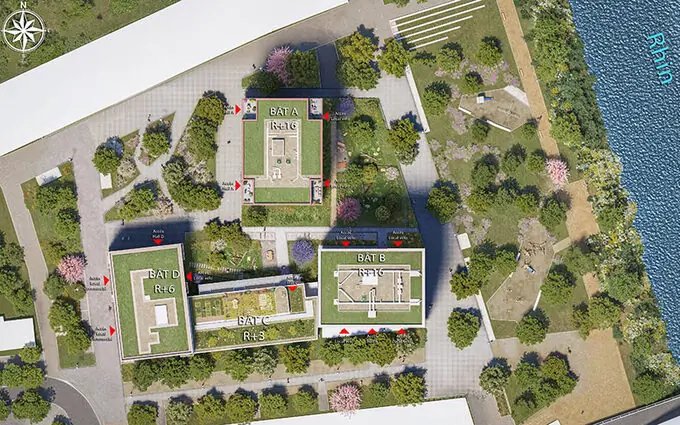 Les escales du rhin à Strasbourg