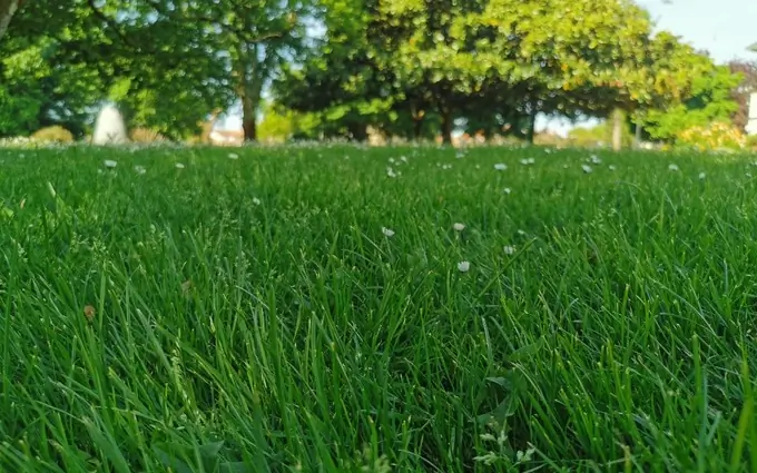 Terrain à partir de 720m² à gujan-mestras à Gujan-Mestras (33470)