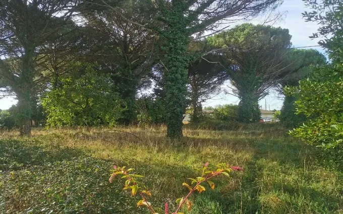 Terrain à partir de 960m² à saint-maixant à Saint-Maixant (33490)