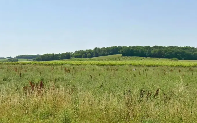 Terrain à partir de 771m² à flaugeac à Sigoulès (24240)