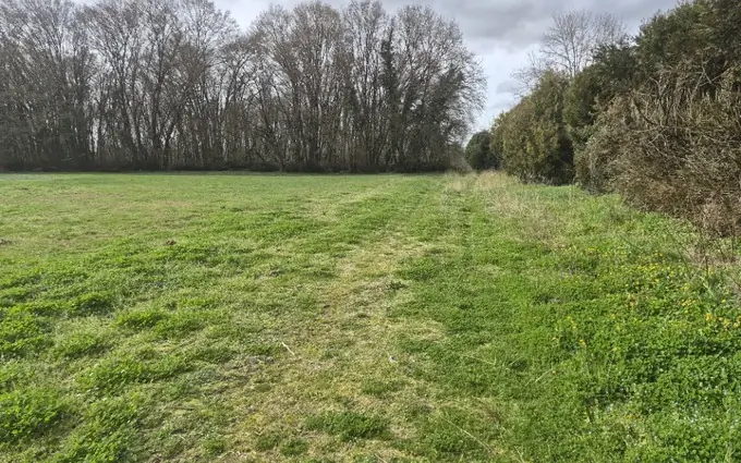 Terrain à partir de 1355m² à gémozac à Gémozac (17260)