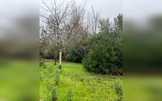 Terrain à partir de 300m² à eysines à Eysines