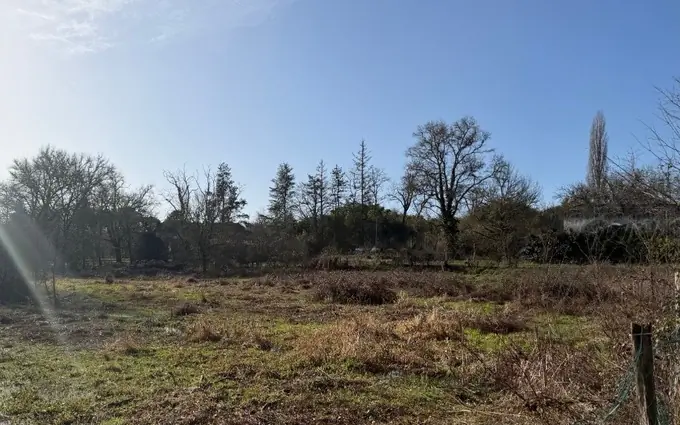 Terrain à partir de 1130m² à noaillan à Noaillan (33730)