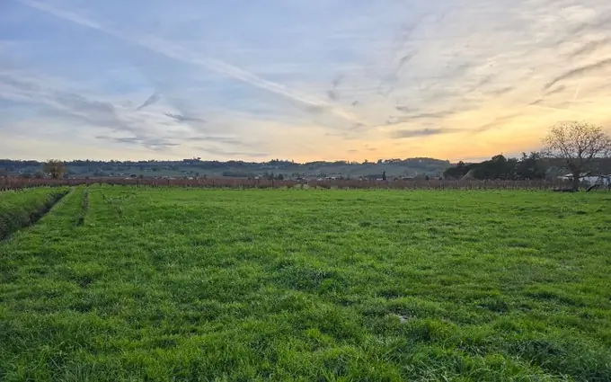 Terrain à partir de 1600m² à saint-laurent-des-vignes à Saint-Laurent-des-Vignes (24100)