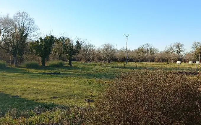 Terrain à partir de 1000m² à ménesplet à Ménesplet (24700)