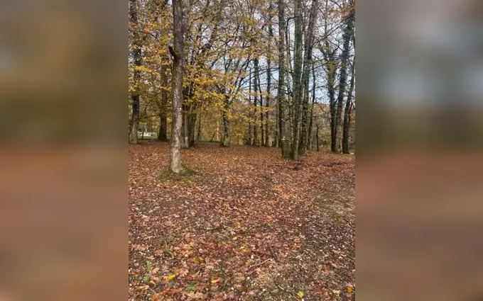 Terrain à partir de 800m² à camarsac à Camarsac (33750)