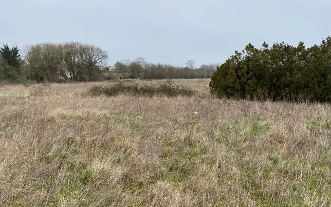 Terrain à partir de 404m² à pont-l'abbé-d'arnoult à Pont-l'Abbé-d'Arnoult (17250)