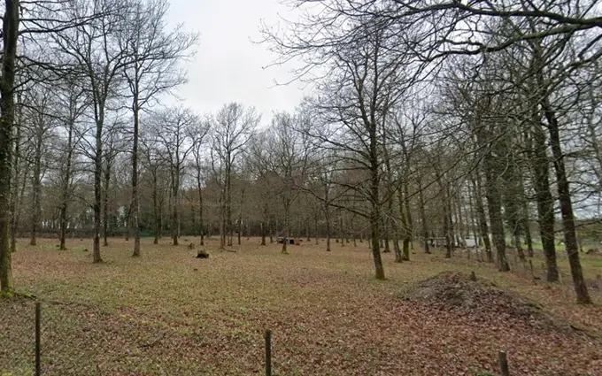 Terrain à partir de 312m² à médis à Médis (17600)