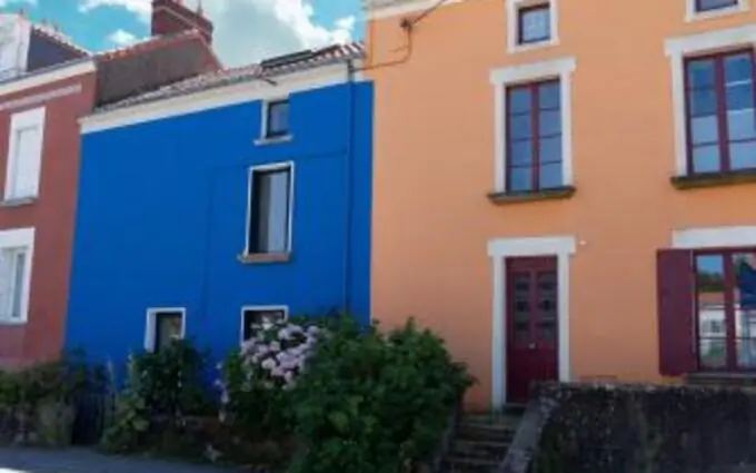 Iris à Rezé