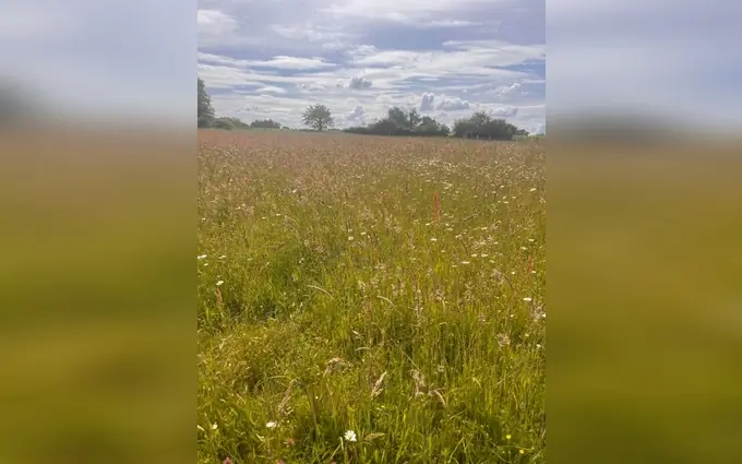 Terrain à partir de 400m² à beautiran à Beautiran