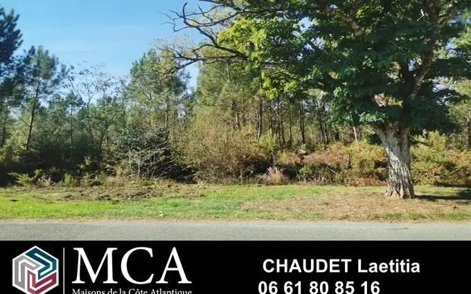 Terrain à partir de 555m² à pissos à Pissos (40410)