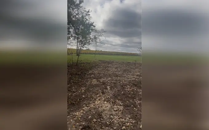 Terrain à partir de 5000m² à langoiran à Langoiran (33550)