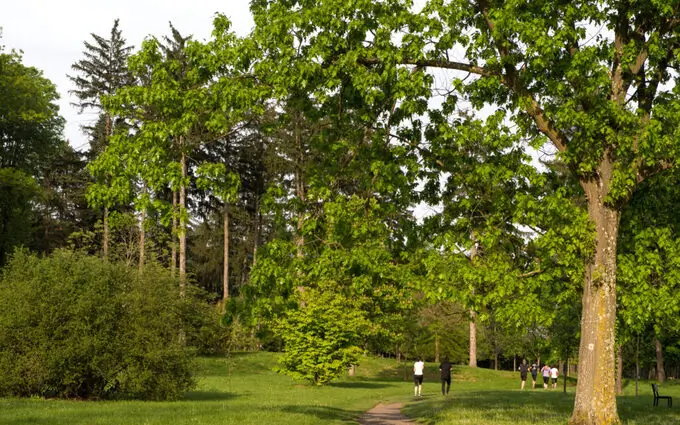 L'Atelier Delore à Lyon 8ème