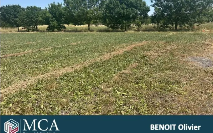 Terrain à partir de 339m² à Mornac-sur-Seudre à Mornac-sur-Seudre (17113)