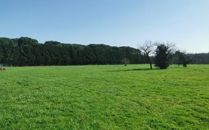 Terrain à partir de 995m² à Coimères à Coimères