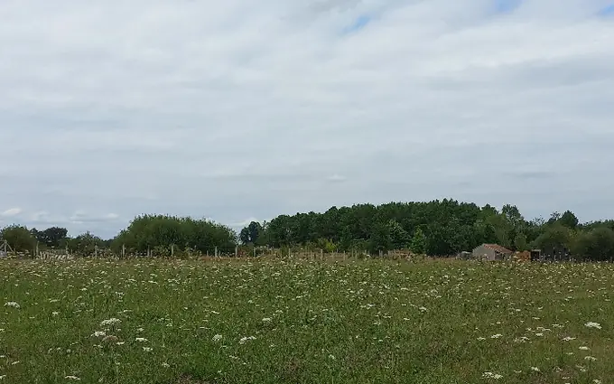 Terrain à partir de 1600m² à Montpon-Ménestérol à Montpon-Ménestérol (24700)