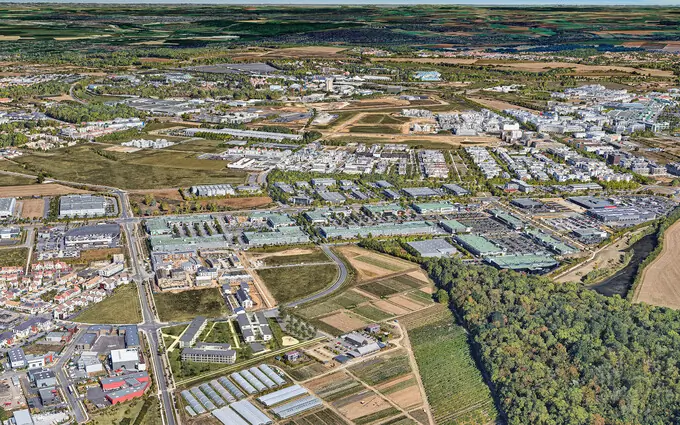 Les botanistes à Chanteloup-en-Brie